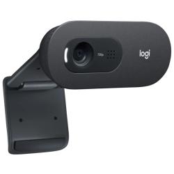 Logitech Webcam c505E 1280*720 Negro