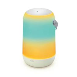 Philips Wiz Wi-Fi BLE Portable Light EU Type C