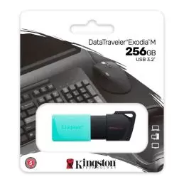 Kingston DataTraveler DTXM 256GB USB 3.2 Gen1 Turq