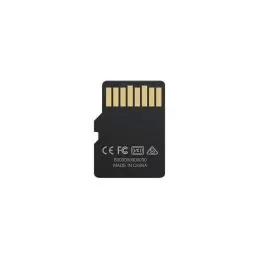 Biwin MS100 microSDXC UHS-1 256GB C10 U3 V30 A1