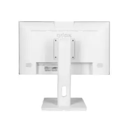 NILOX NXM24REGWEB01W Monitor 24" IPS WbC AA MM