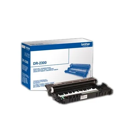 Brother Tambor DR2300