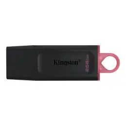 Kingston DataTraveler DTX 256GB USB 3.2 Gen1 Negro
