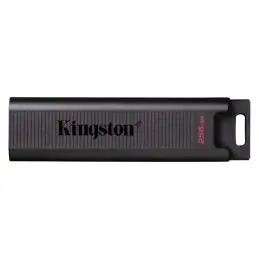 Kingston DataTraveler MAX 256GB USB-C 3.2 Gen2 Kingston DataTraveler MAX 256GB USB-C 3.2 Gen2