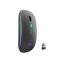 EWENT Ratón Inalámbrico Recarg. Dual BT/WIFI, RGB