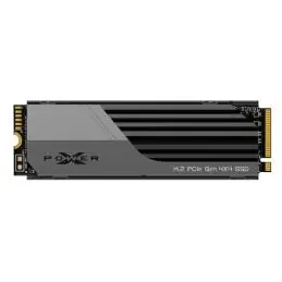 SP XS70 SSD 1TB NVMe PCIe Gen 4x4 7300MBs w/HS