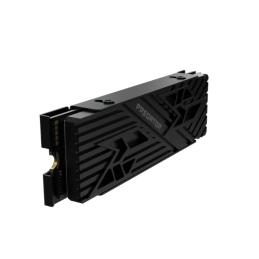 ACER PREDATOR SSD GM-7000 HS 2Tb PCIe NVMe Gen4 ACER PREDATOR SSD GM-7000 HS 2Tb PCIe NVMe Gen4