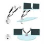 Tooq DB3132TNR-S Soporte Mesa incl/gir 2brz 13-32" Tooq DB3132TNR-S Soporte Mesa incl/gir 2brz 13-32"