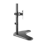 EWENT EW1535 Soporte Sobremesa Monitor 34" VESA EWENT EW1535 Soporte Sobremesa Monitor 34" VESA