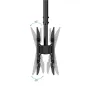 Tooq LPCE2286TSLI-B Soporte techo 2 TV 43"-86" Tooq LPCE2286TSLI-B Soporte techo 2 TV 43"-86"