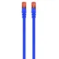 Ewent Latiguillo Categoría 6 U/UTP 1 M Azul
