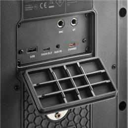 NGS Altavoz Wildbash 300W Bateria recargable IPX6 NGS Altavoz Wildbash 300W Bateria recargable IPX6